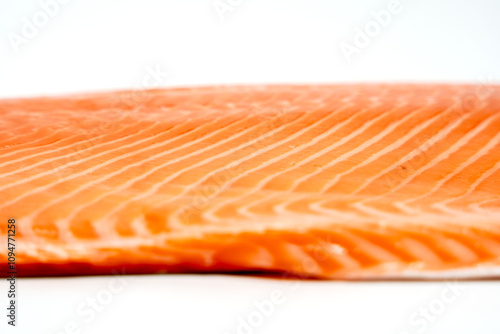 The salmon fillet is shown in its raw state. A concept of freshness and natural beauty as salmon is presented in its most unaltered form.