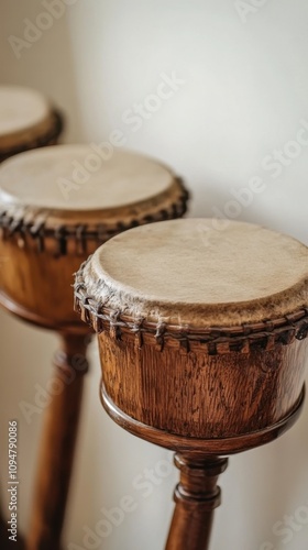 Bosnian folk music instruments display intricate wooden textures against a beige background photo