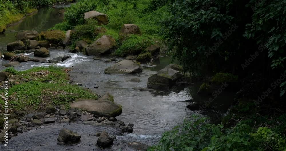 Beautiful water stream in the green forest. Beautiful water stream in the green forest.