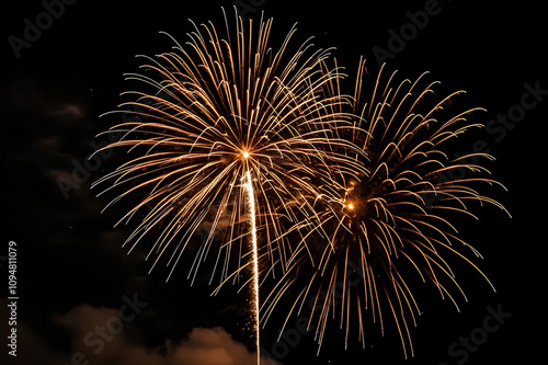 fireworks are shown in the night sky with a pyrotechnic display