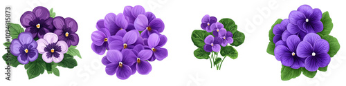 Vibrant clusters of violets in various shades of purple, showcasing delicate petals and lush green leaves, perfect for floral designs and decorations