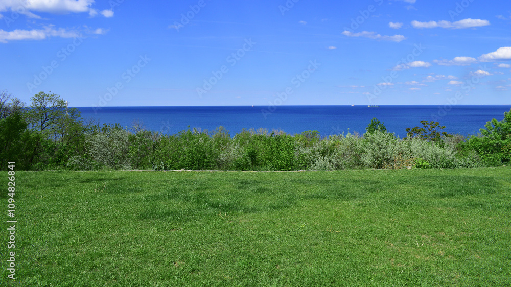 green meadow and blue sea. sunny summer day, seascape. A beautiful shot of green grass and blue water. hot weather. ship on the sea in the background. summer rest. travel, tourism, resort green meadow and blue sea. sunny summer day, seascape. A beautiful shot of green grass and blue water. hot weather. ship on the sea in the background. summer rest. travel, tourism, resort