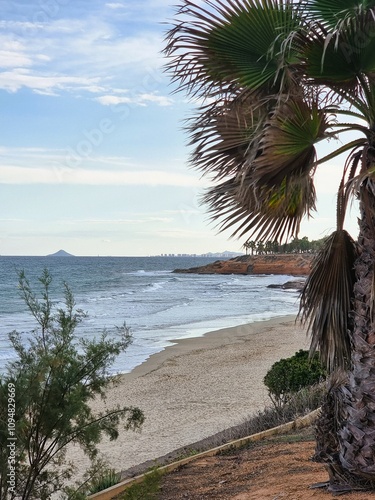 Blick durch Palmen zum Meer, mit einem Stück Strand im Vordergrund und einem Küstenabschnitt, der von weiteren Palmen gesäumt wird. Am Horizont ist schwach ein Berg zu erkennen, während die Dämmerung. photo