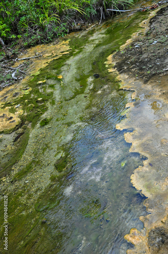 river flowing into the forest photo