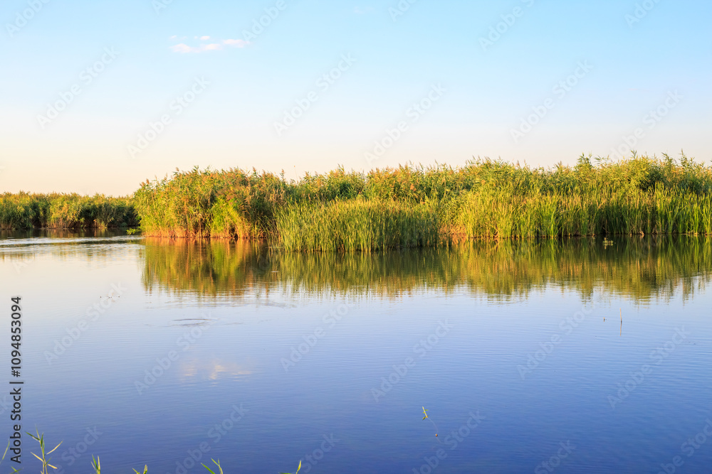 Summer sunny landscape. Blue lake with reeds and blue sky Summer sunny landscape. Blue lake with reeds and blue sky