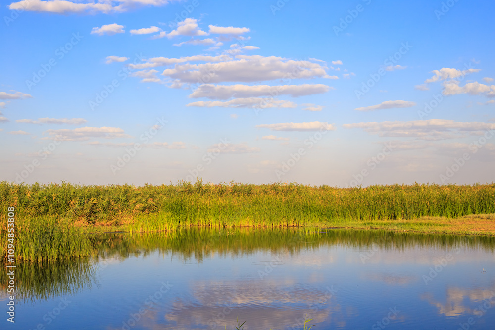 Summer sunny landscape. Blue lake with reeds and blue sky with clouds Summer sunny landscape. Blue lake with reeds and blue sky with clouds