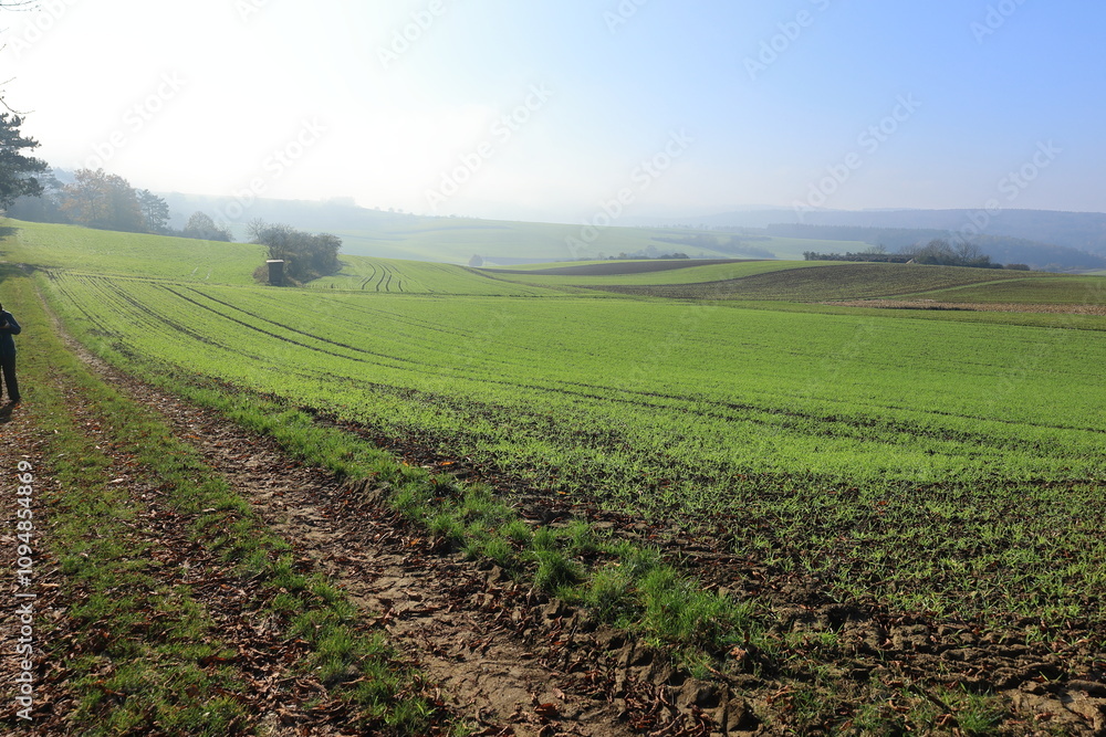 Blick über das Heckengäu bei Weil der Stadt Blick über das Heckengäu bei Weil der Stadt