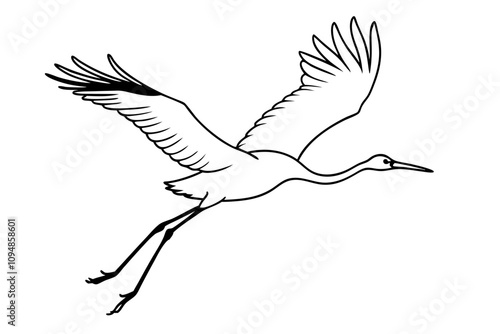 crane flying long legs trailing behind line art vector silhouette on white background photo