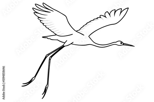 crane flying long legs trailing behind line art vector silhouette on white background photo