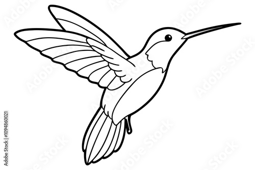 hummingbird hovering tiny body fast wings line line art vector silhouette on white background