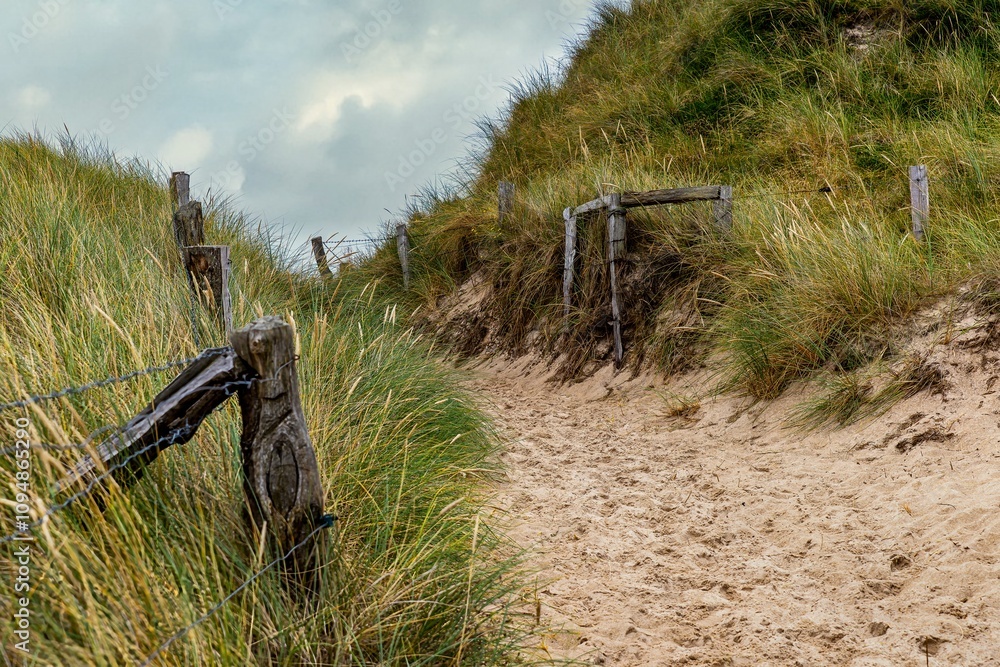 footpath through the dunes on the Ellenbogen Sylt