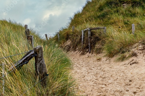 Obraz na płótnie footpath through the dunes on the Ellenbogen Sylt w salonie