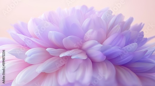 Close-up of a pastel purple and pink flower.