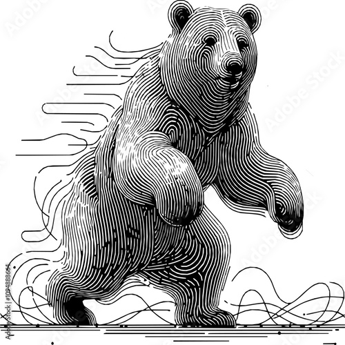 Fierce grizzly bear standing upright in black and white engraving style illustration shows dynamic motion and detailed line art wildlife drawing