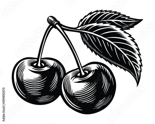 Cherries with leaf vintage woodcut engraving style vector