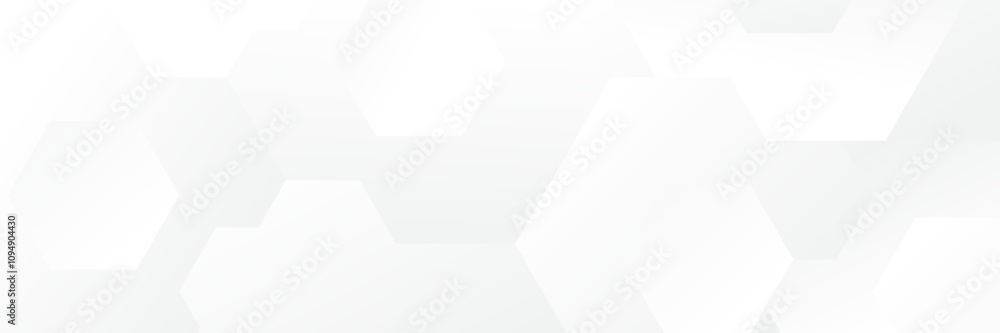 Fototapeta premium Abstract white Geometric banner design background.