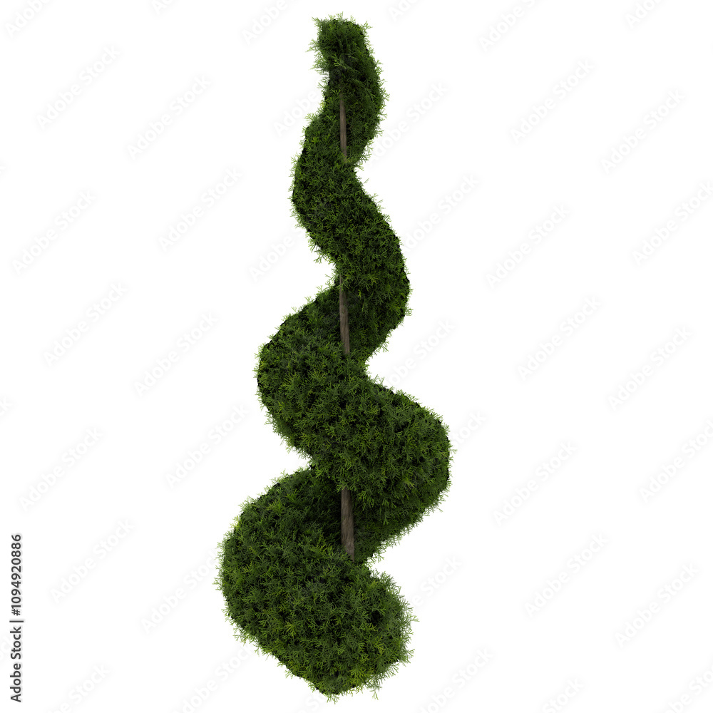 Outdoor Plant Outdoor Plant