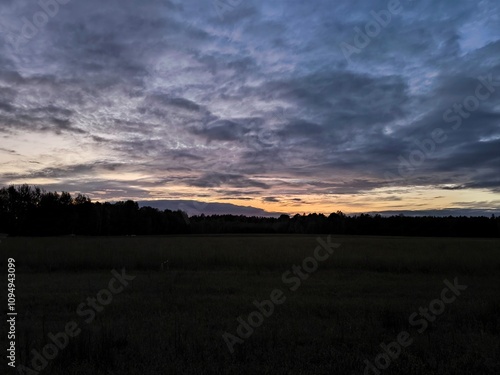 Beautiful sunset over the forest in the field.