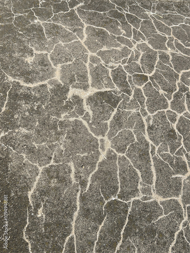 This stock photo showcases a detailed view of brown concrete, featuring beige vein-like stains running throughout the composition. This texture is ideal for 3D surfacing and texturing projects. photo