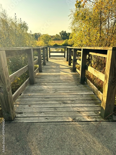 bridge in autumn