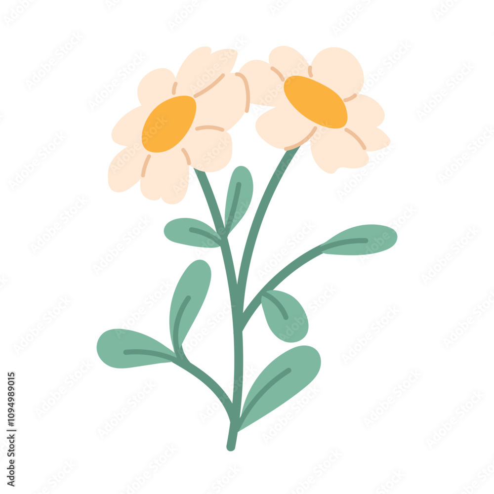 Flat hand drawn daisies on white background. Wildflower isolated. Vector floral element Flat hand drawn daisies on white background. Wildflower isolated. Vector floral element