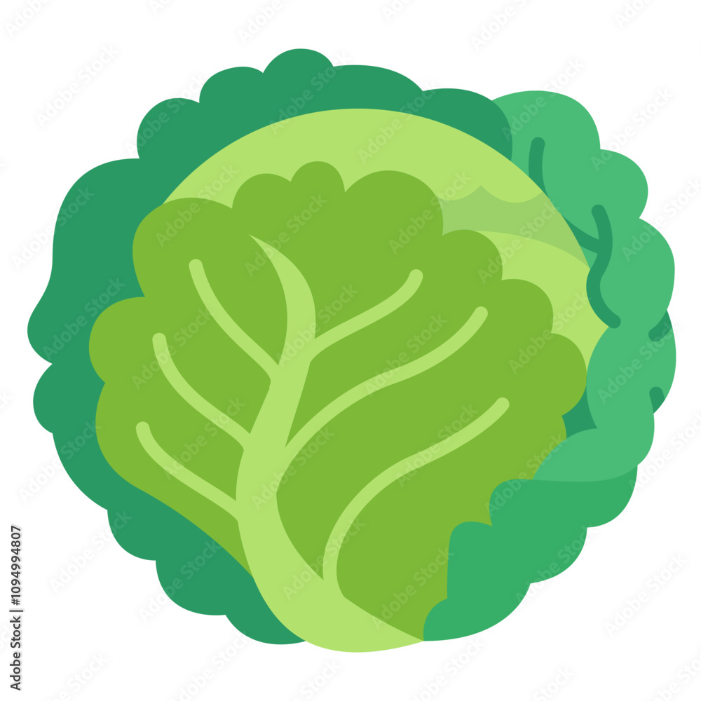 Nutrition Flat Design Illustration,Cabbage Flat Design Nutrition Flat Design Illustration,Cabbage Flat Design