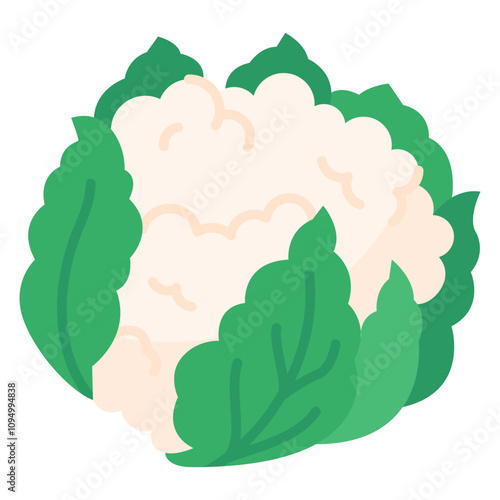 Nutrition Flat Design Illustration,Cauliflower Flat Design