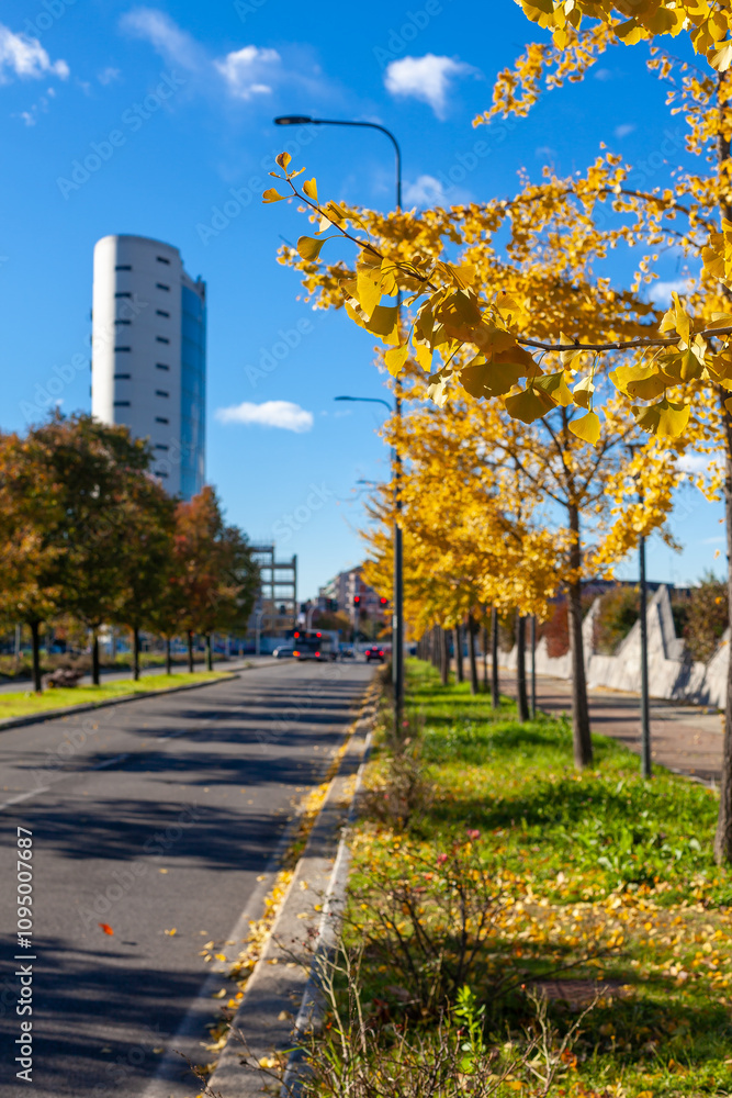 Naklejka premium Close up on autumn foliage, background is blurred, no people are visible.