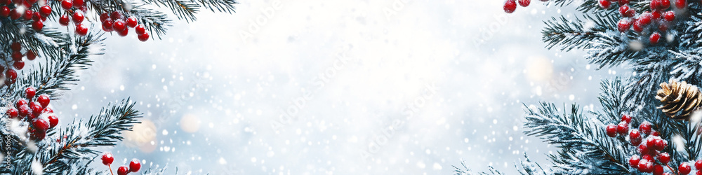 Pine tree branches with pine cones web header red berries christmas banner with copy space for text evergreen garlands xmas celebration Pine tree branches with pine cones web header red berries christmas banner with copy space for text evergreen garlands xmas celebration