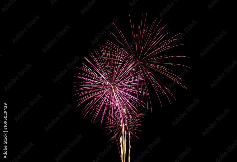 Stunning pink fireworks display at night. Stunning pink fireworks display at night.