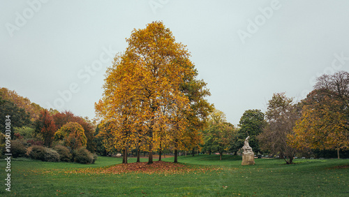 Beautifull Large Tree with amazing autumn color leafs,  Parc Monceau, Paris, France, Parc Monceau, Paris, France photo