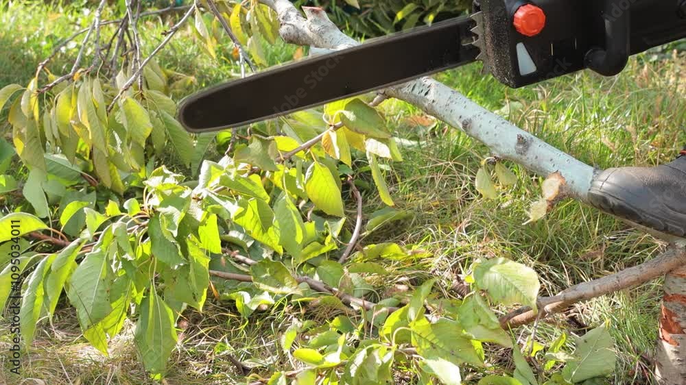 A man - Lumberjack in a black and red checkered shirt sawing a chainsaw in the garden. A man - Lumberjack in a black and red checkered shirt sawing a chainsaw in the garden.