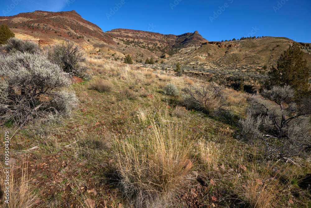 Landscape near the Blue Basin geology formation, John Day Fossil Beds National Monument, Eastern Oregon nature. Landscape near the Blue Basin geology formation, John Day Fossil Beds National Monument, Eastern Oregon nature.