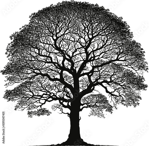 Tree silhouette vector icon isolated on a white background