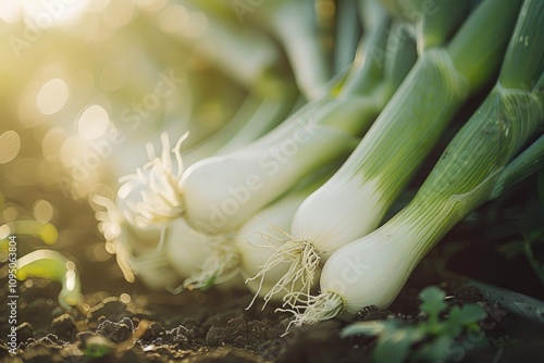 Fresh green onions in a tight cluster