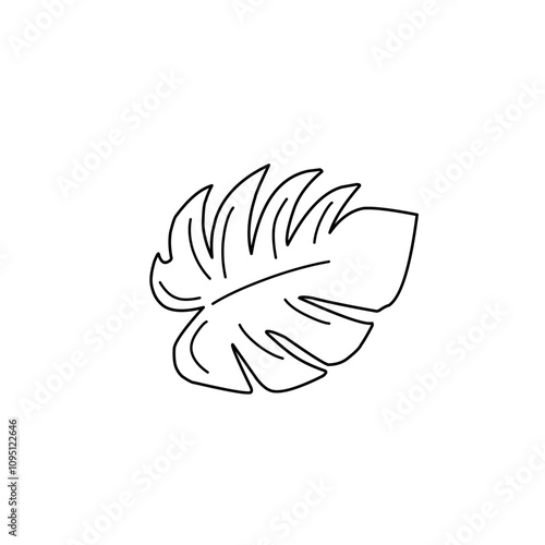 monstera leaf outline