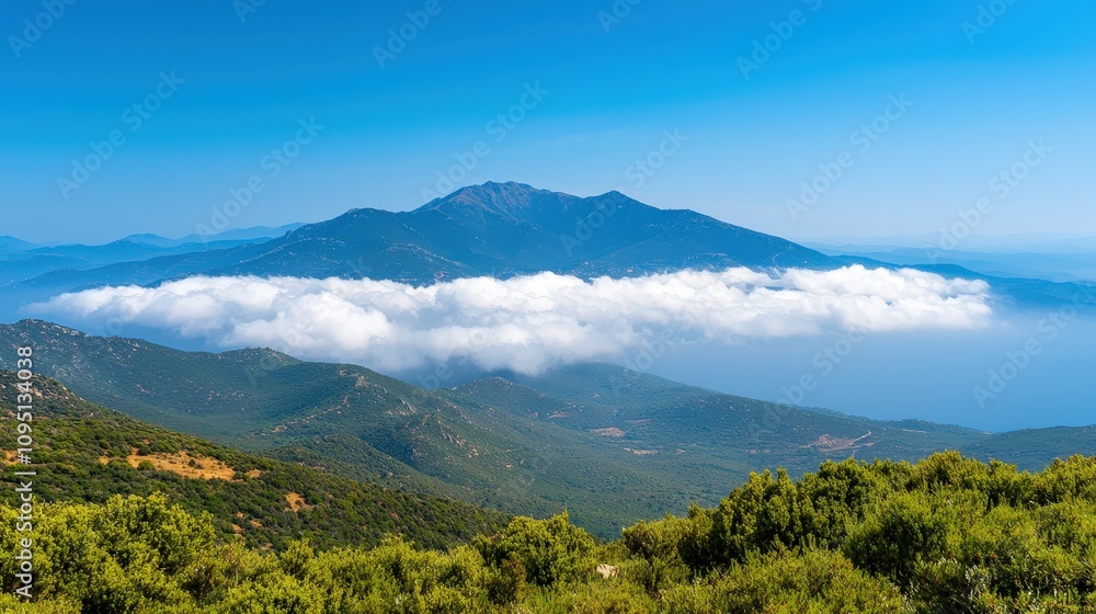 Majestic Mountain Landscape with Sea of Clouds Panoramic View Majestic Mountain Landscape with Sea of Clouds Panoramic View
