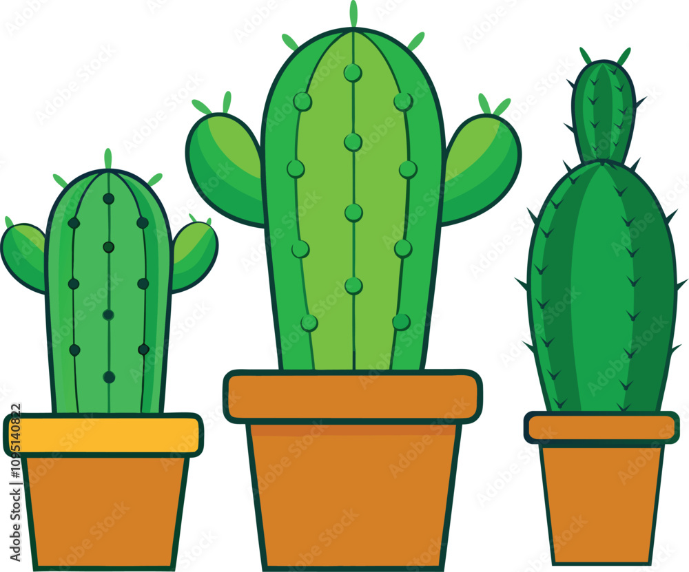 three Green Cactus in Pot three Green Cactus in Pot