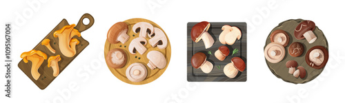Assorted Mushrooms on Wooden and Stone Cutting Boards and Plates