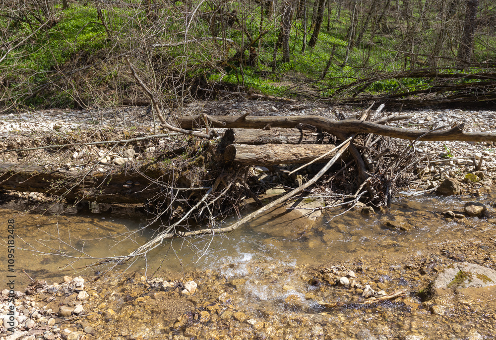 the river in the spring of the year, a slow flow along a shallow riverbed the river in the spring of the year, a slow flow along a shallow riverbed