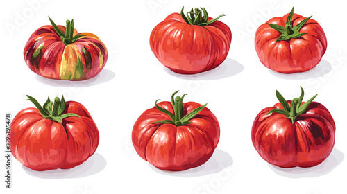 Vector clipart illustration set of rustic heirloom tomatoes isolated flat tomato on a white background
