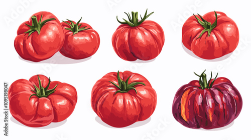 Vector clipart illustration set of rustic heirloom tomatoes isolated flat tomato on a white background