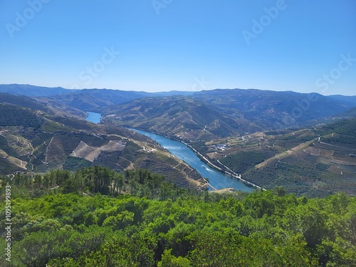 A breathtaking aerial view of the Douro Valley in Portugal, showcasing its terraced vineyards, winding river, and rolling hills. 