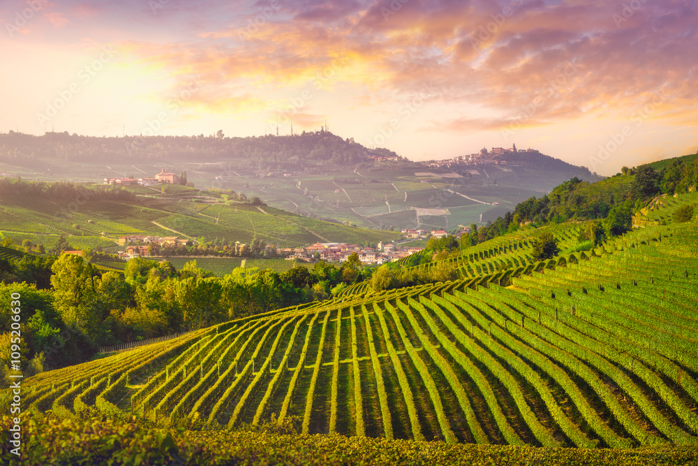 Obraz premium Langhe vineyards view, Barolo and La Morra villages in the background, Piedmont, Italy