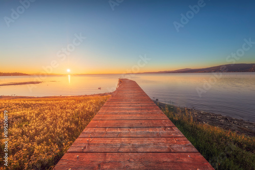 Wooden pier on Lake Trasimeno and a swan at sunset. Magione, Umbria, Italy photo