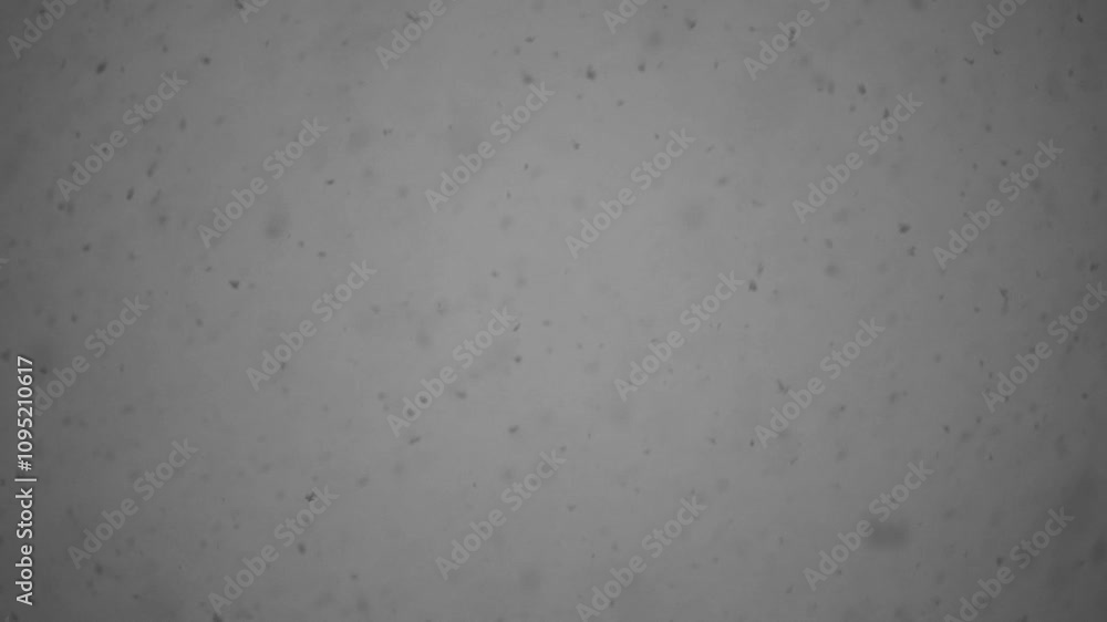 Winter snowflakes gently falling, creating a serene and magical atmosphere in the quiet landscape Winter snowflakes gently falling, creating a serene and magical atmosphere in the quiet landscape