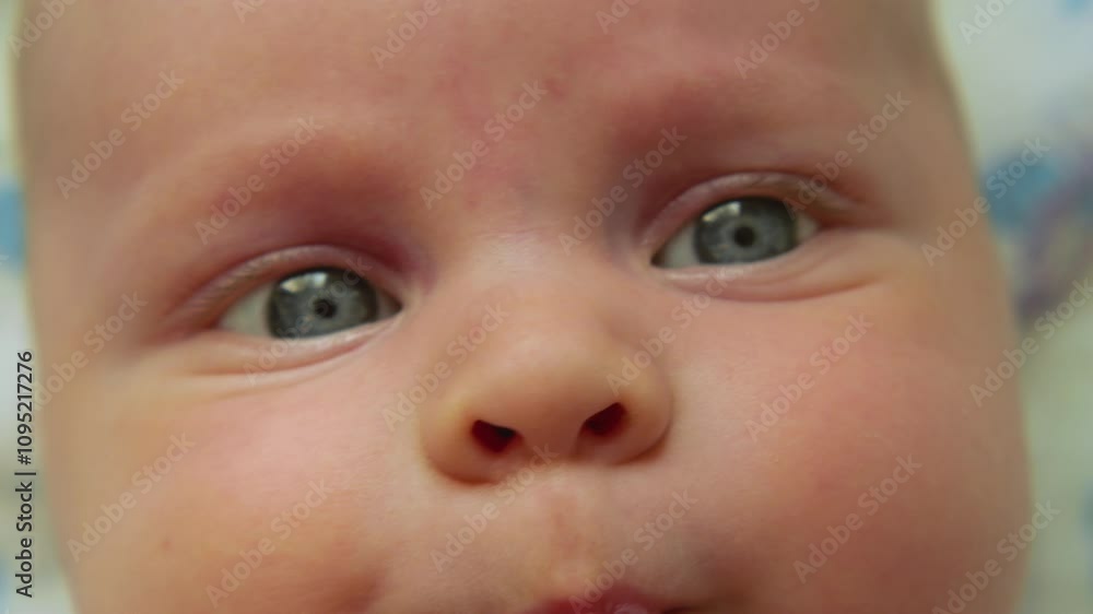 Close-up of infant's face focusing on bright blue-grey eyes and button nose, showing delicate skin texture and natural rosy cheeks against soft, blurred background Close-up of infant's face focusing on bright blue-grey eyes and button nose, showing delicate skin texture and natural rosy cheeks against soft, blurred background