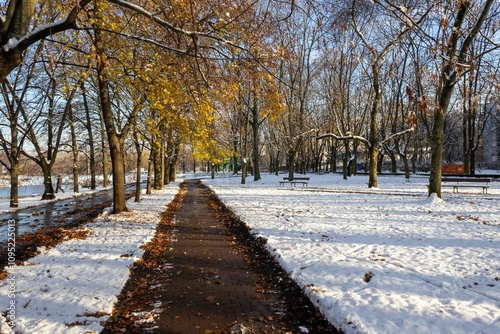 A walking path in the park, a lawn covered with a thin layer of first snow, trees without leaves, early winter