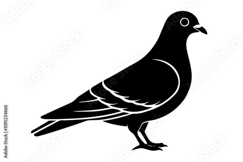 pigeon silhouette black icon vector art illustration photo