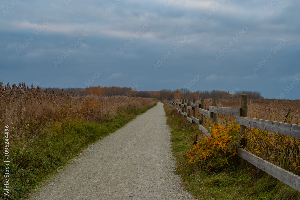 Fototapeta premium A narrow gravel path winds through the scene, bordered by wooden fencing on the right and a mix of grass and sparse vegetation on the left. Autumn landscape at Paljassaare Peninsula, Tallinn, Estonia.